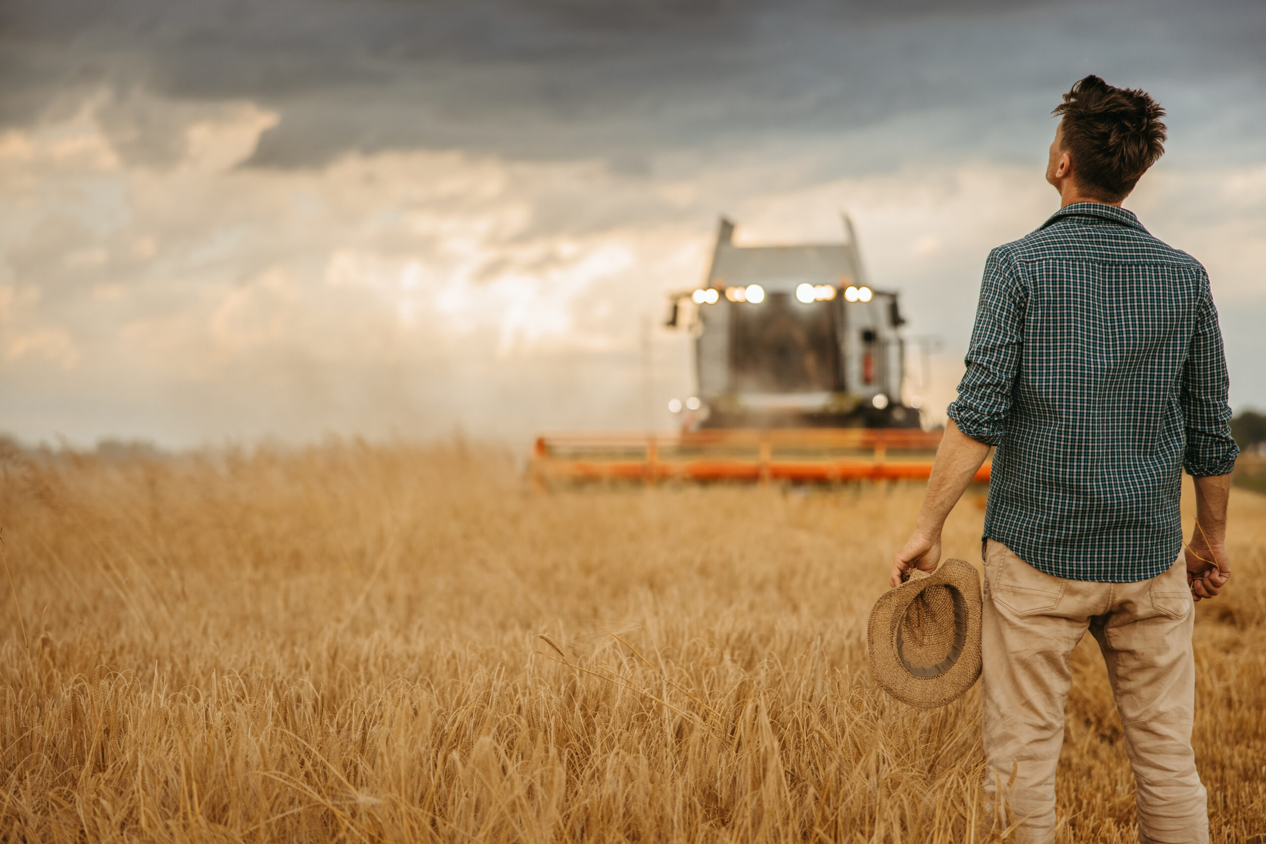 Rear view of farmer with combine harvester on agricultural wheat field